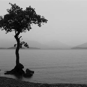 Dunder_Mifflin2's profile picture. The best way to keep a prisoner from escaping is to make sure he never knows he's in prison.   -  Fyodor Dostoevsky