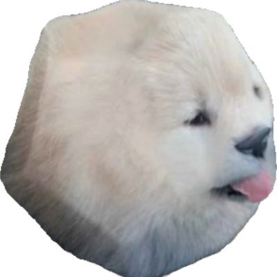 dogecahedron's profile picture. please I want famous now