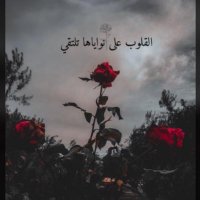 Safenaaz elrawdy (@elrawdysafenaaz) Twitter profile photo