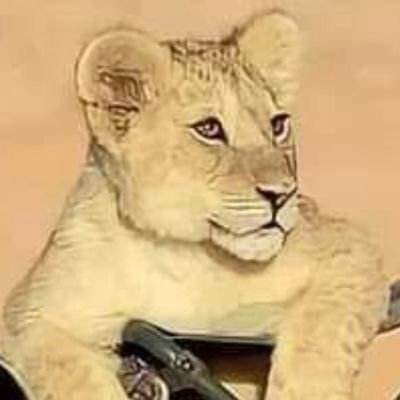 bolo123b's profile picture. 