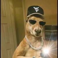 KangEerRoo (@kangeerroo) 's Twitter Profile Photo KangEerRoo (@kangeerroo) 's Twitter Profile Photo