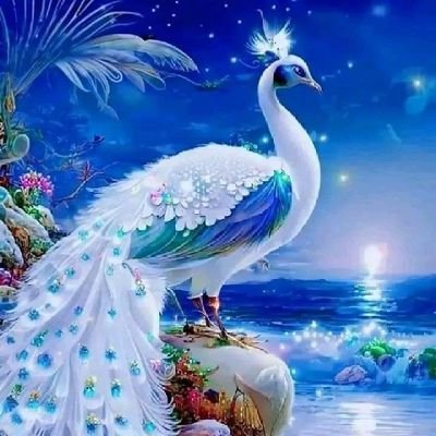 yk960829's profile picture. @yk96082