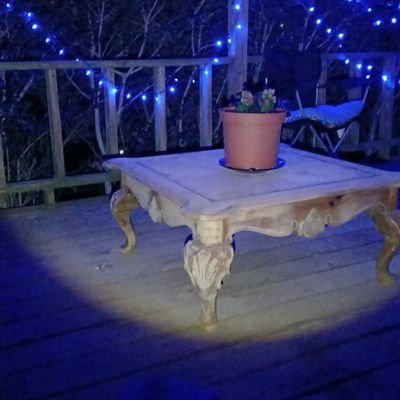 Regina612744002's profile picture. nationalist and Christian  and Texan