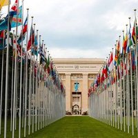 raj (@internationpeac) 's Twitter Profile