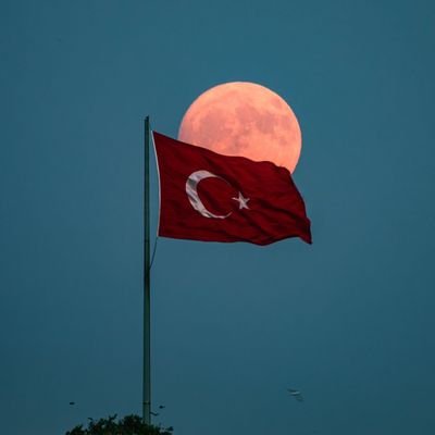 DogrudurDogru's profile picture. 