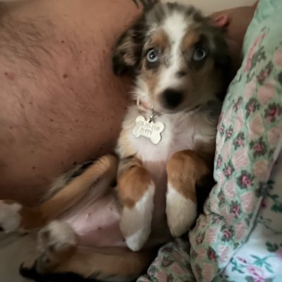 zach34634's profile picture. 