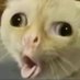 HOWWHYWHAT (@best_dick_onwer) Twitter profile photo HOWWHYWHAT (@best_dick_onwer) Twitter profile photo