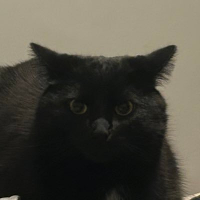 Sagi864's profile picture. 