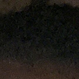 Glokdex's profile picture. 