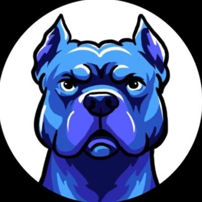 AssasinAltcoin's profile picture. • CryptoLord • RuneMaster #highriskBEHAVIOR | | #zeroapologies 🚀🤑💰