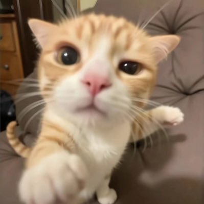 shanshiyicun's profile picture. 没有🚪，只玩永劫，瓦，ow，除问我打不打游戏之外别找我聊天，菜的也别来😄聊骚的更是滚远点，小号🎺@zcy997788