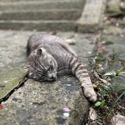 n_tb158's profile picture. 