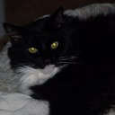 Sandra Herrick - @HerrickSandra - Twitter