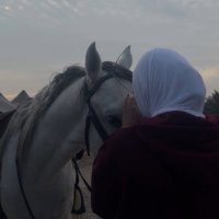 Nour | نور🔻 (@bynouralsh) Twitter profile photo