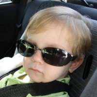 gustavo (@_foltz_) 's Twitter Profile