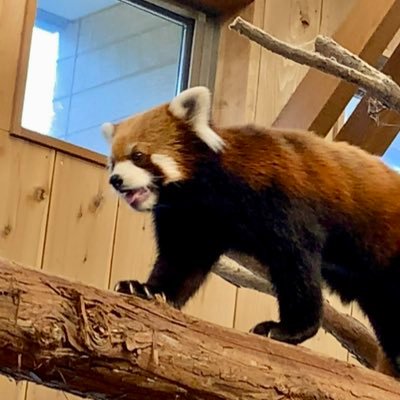 lurusfv's profile picture. 趣味垢みたいなやつ。好きなものが多いのでとっ散らかりがち。好き:ぼざろ/ジークアクス/神椿/V.W.P/コナン/EVA/lain/ボカロ/プロセカ