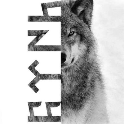 kutlunecdet1907's profile picture. FENERBAHÇE Spor Kulübü Üyesi
Hem FENERBAHÇE'li hem akpli olunmaz.