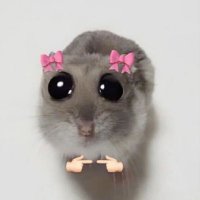 tarım bakanlığı-danıştay istasyonu (@bayanyetistiniz) Twitter profile photo