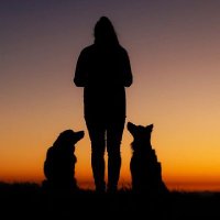 Anna - Weirdo 🐶🐶💚 (@anna69680497) 's Twitter Profile Photo Anna - Weirdo 🐶🐶💚 (@anna69680497) 's Twitter Profile Photo