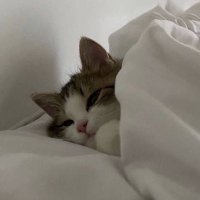 . (@paq2j) 's Twitter Profile