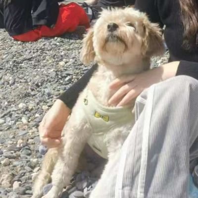 walanmisi's profile picture. 