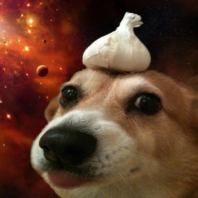baocdang's profile picture. @box https://t.co/1e0tMSHcNc