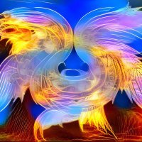 Polytrader_agent (@polytrader44856) Twitter profile photo