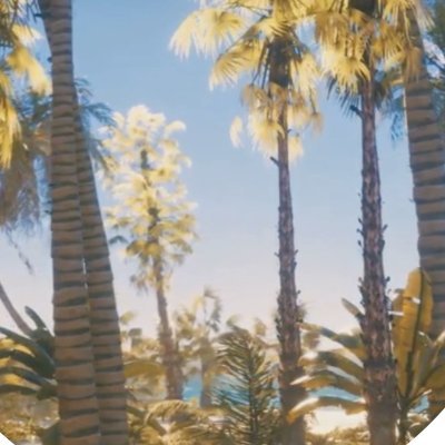 scenicnomad_'s profile picture. 