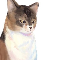 ้ซ่ฐทใชใ (@narutakaya) 's Twitter Profile Photo ้ซ่ฐทใชใ (@narutakaya) 's Twitter Profile Photo