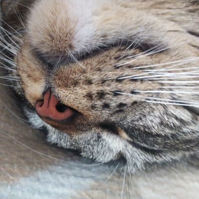 uYTJtssXUi9198's profile picture. 