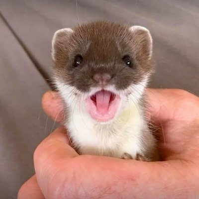 itachi133468's profile picture. 