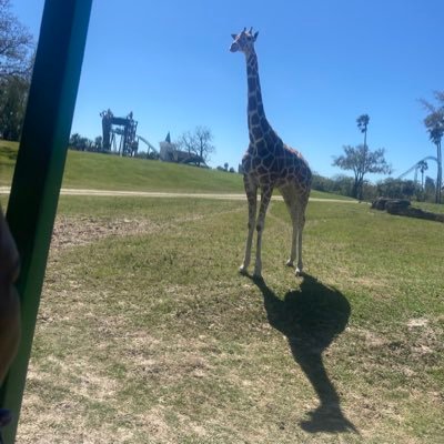 AweKingSum's profile picture. Let’s tone up those legs