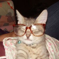swaEGGIEy (@teloryupi) 's Twitter Profile Photo swaEGGIEy (@teloryupi) 's Twitter Profile Photo