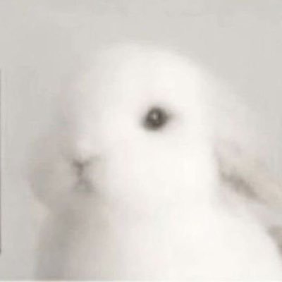 l3ts_s33stars's profile picture. o3o