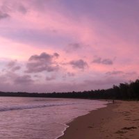 高木梢 (@kozue_takagi) 's Twitter Profile Photo