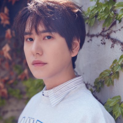 kyucho513573's profile picture. 💜규피터&규른러/ 성인/ 규른 먹어요!
💜6년차 늦덕

#규현아_사랑해