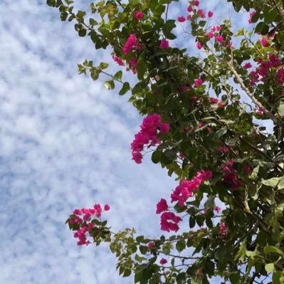 wuli_5's profile picture. 