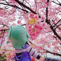 ナミネ (@ikutachi12) 's Twitter Profile Photo