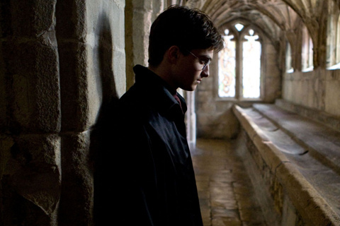 hjp1998's profile picture. married to ginny weasley potter