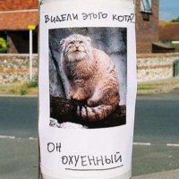 Ольга Мох (@ga_mohon) 's Twitter Profile Photo Ольга Мох (@ga_mohon) 's Twitter Profile Photo