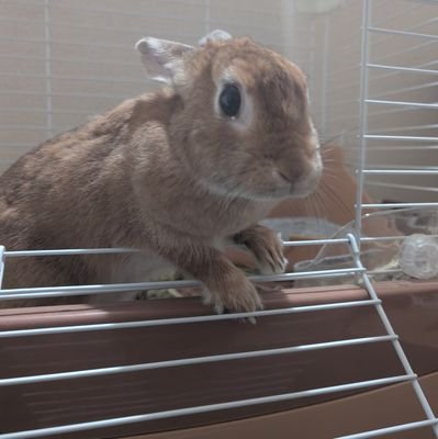 カグラバチ推し😄レゼ ミルコ推し😊
無言フォロー失礼します。🙇😄ジージェネ
明るく楽しく　ジャックさんイケメン
にーさんの酒場、ねぎさん牧場、星ドラ、蒼空一家、ゼロスト等　アルストありがとう
いつもみんなありがとうございます🙏🏼😊 星ドラお世話になりました。アルストしてます。うさぎポストはいいねします