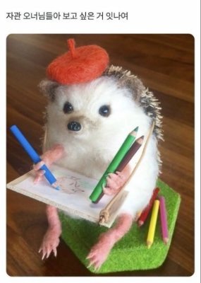 SB_POTATO's profile picture. 나보다 좋은 감자 만나 . . .