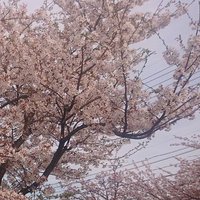 gb 禊が済むまで (@gbvv00) 's Twitter Profile Photo gb 禊が済むまで (@gbvv00) 's Twitter Profile Photo