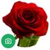 Mahdi Norozi (@mahdi3336320181) Twitter profile photo Mahdi Norozi (@mahdi3336320181) Twitter profile photo