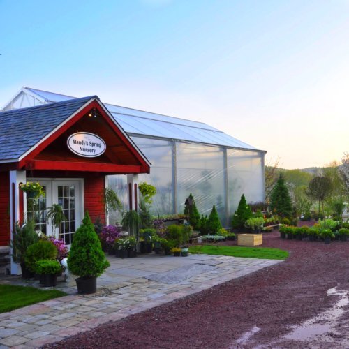 MandysNursery's profile picture. Our mission is for both the Nursery and the Garden Center to be your source for hardy, locally grown plants and  information and garden design inspiration