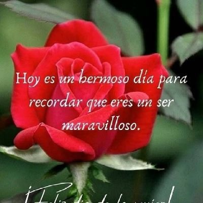 Storm_5438's profile picture. 