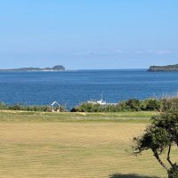 fukukoi tarou (@senzoo9) 's Twitter Profile Photo