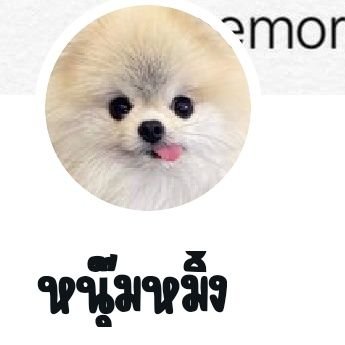 Ttnim3's profile picture. 