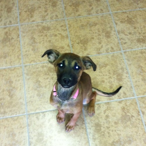 AFKILO7's profile picture. 