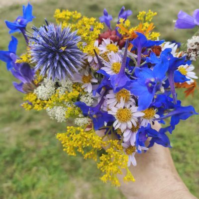 Abliuv's profile picture. Nitrograph